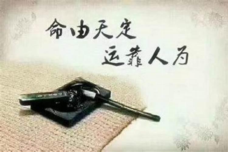 八字风水哪个作用更大