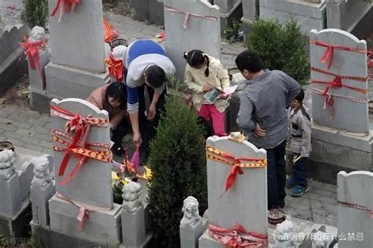 清明节拜祭先人用什么祭品