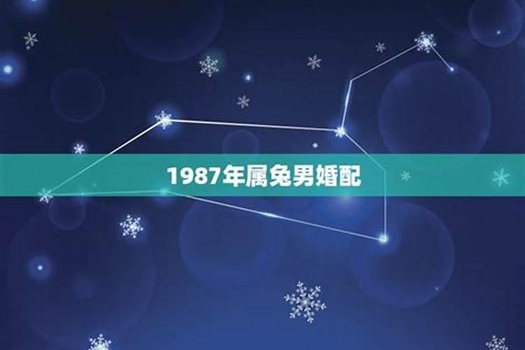 1987年属兔男