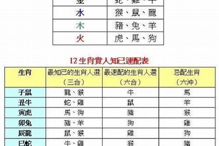 什么属相事业成功人士最多呢