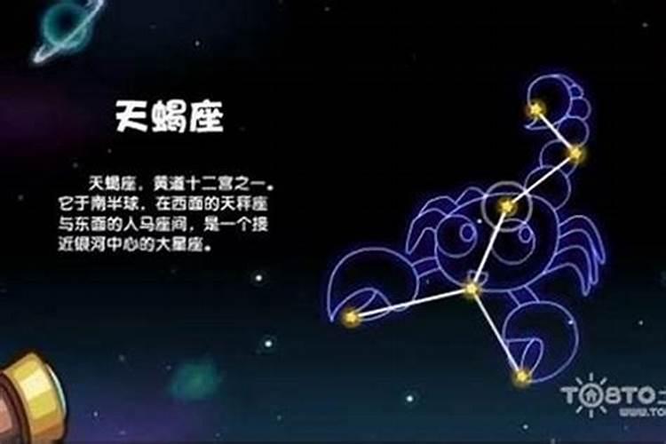 11月24什么星座