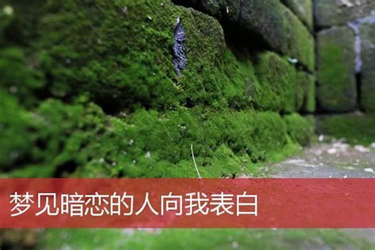 梦见陌生人跟我表白是什么意思