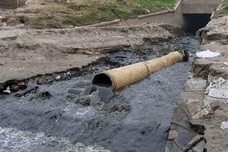 梦见上厕所污水遍地