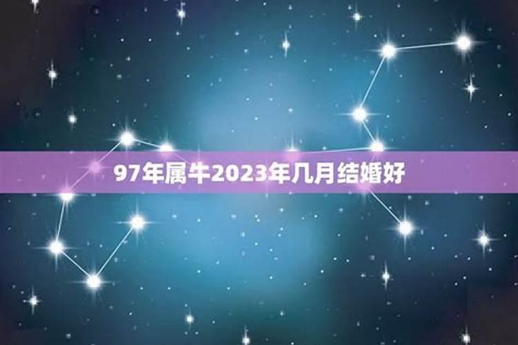 2023属牛的几月份结婚好