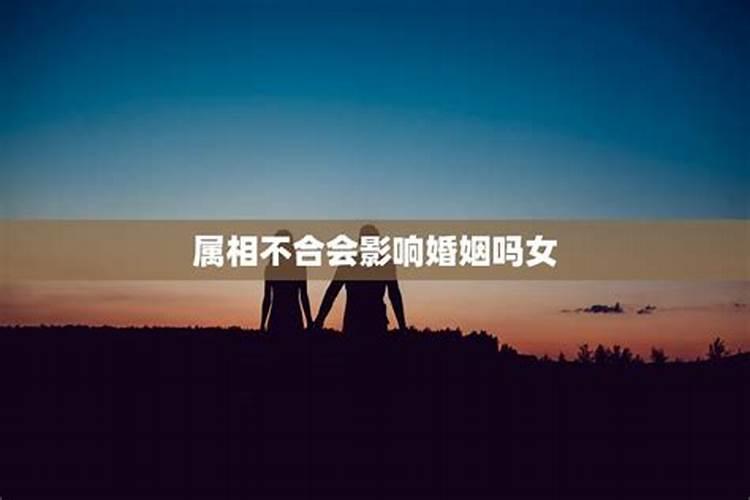 十二生肖2023年每月运势详解