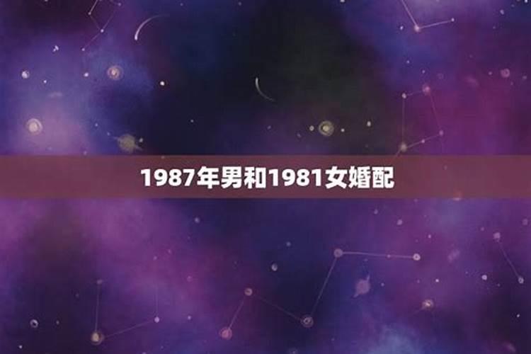 1987属兔和1981属鸡