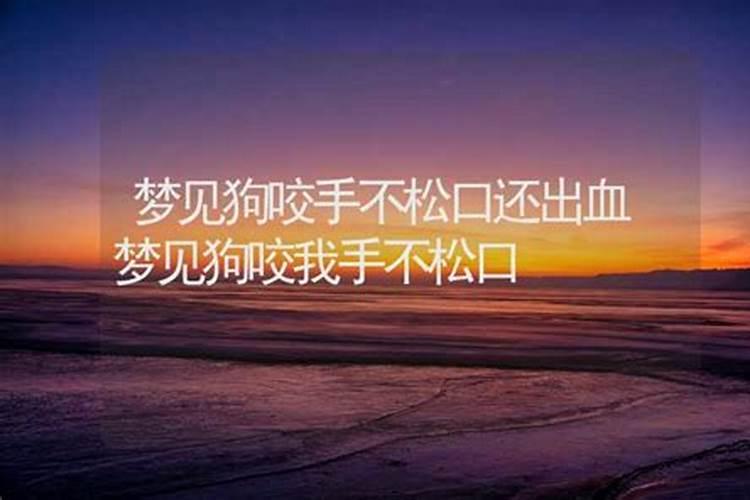 梦见狗咬自己不松口还没出血