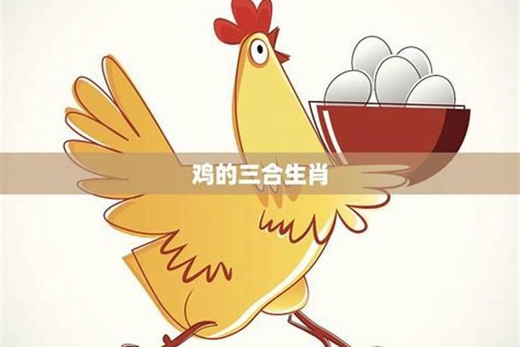 鸡的3合生肖是什么