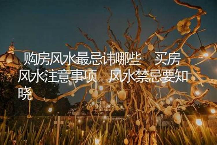 求子家里摆放什么好