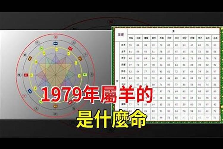 1979年羊命五行缺什么颜色