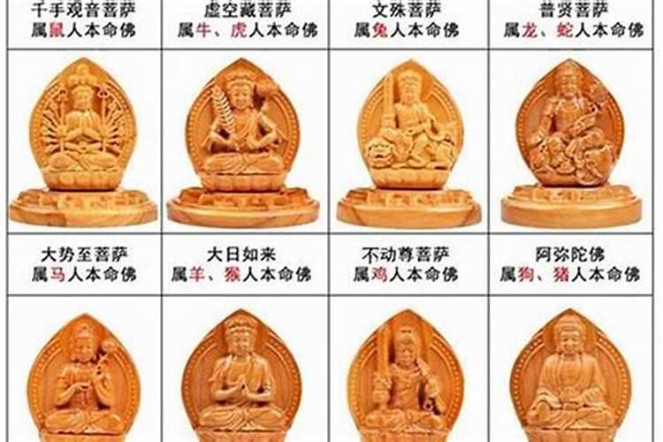 属马的佛教守护神是哪位