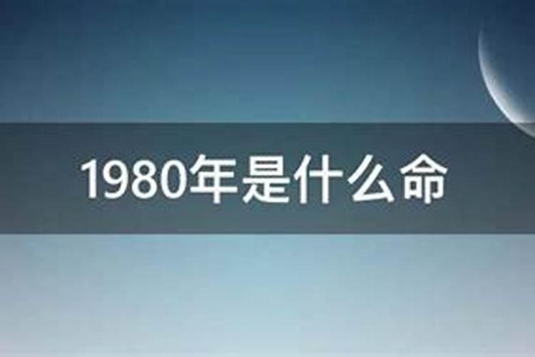 1980年属猴是什么命运