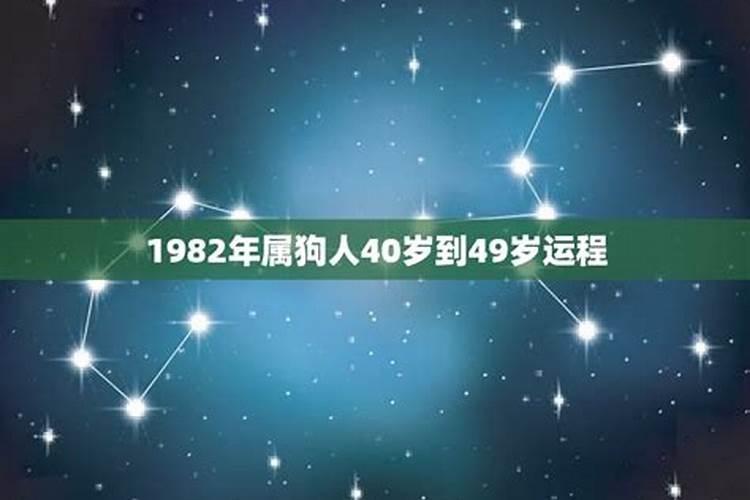 属狗人2023年运势完整版