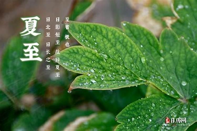 24节气中夏至是什么意思