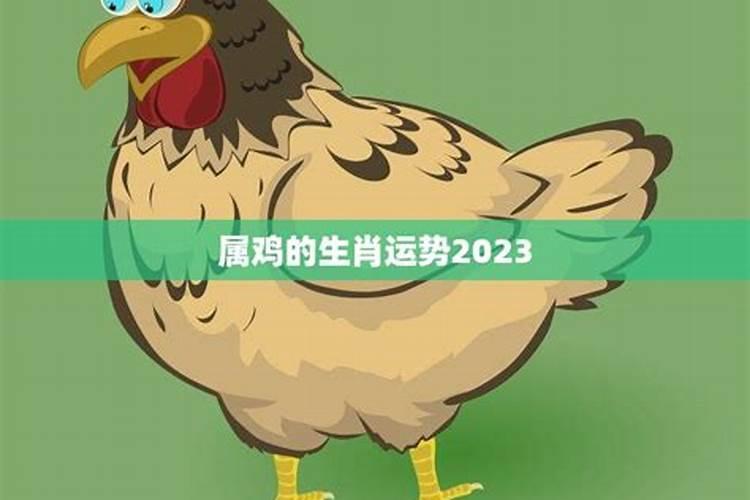 2023年底有喜事的生肖