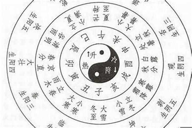 八字排盘年月日的天罗什么意