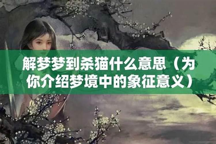 梦到杀猫什么意思