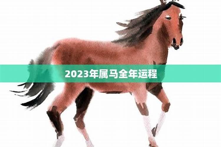 2023年属马的运势和财运