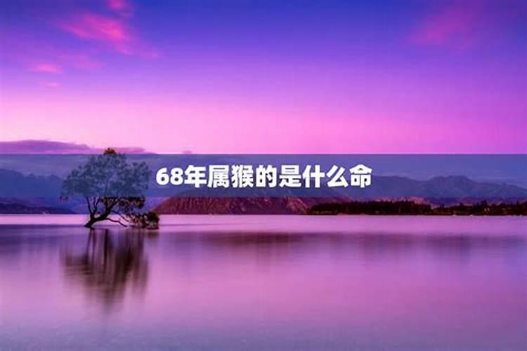 68年猴人53岁什么命