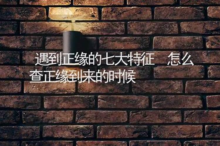 1995年9月初2出生的人的运势