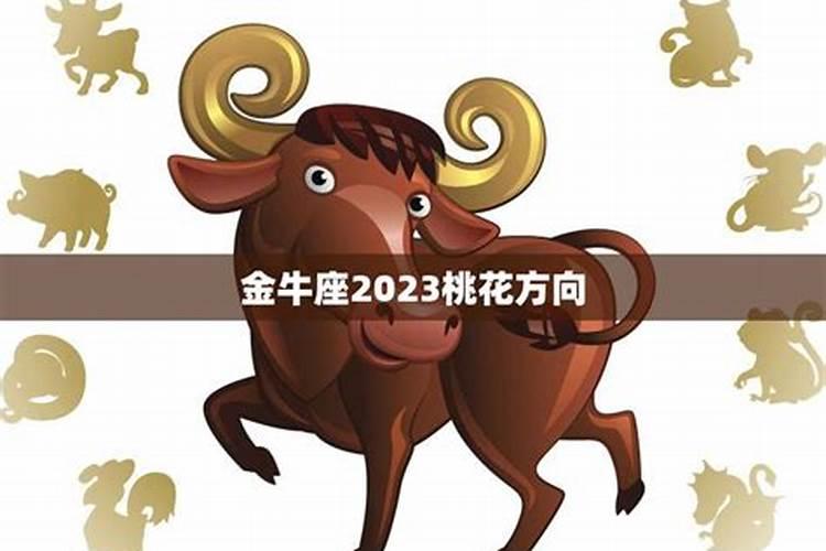 2023年金牛座财运