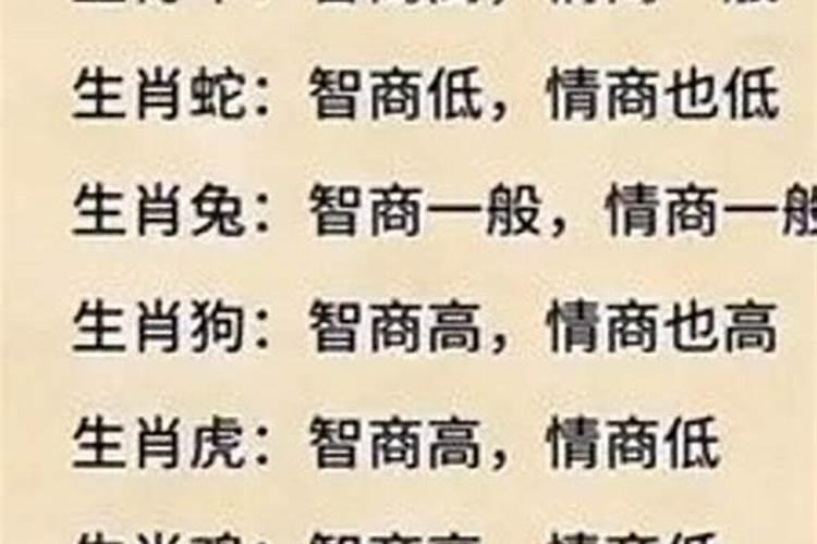 什么生肖情商低