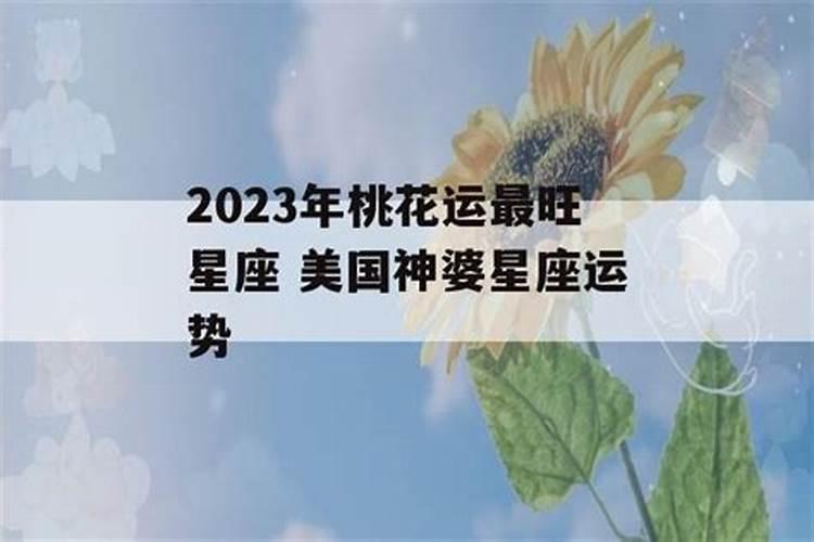 2023年桃花运最旺星座