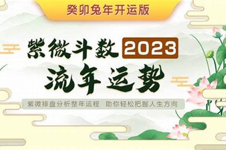 2023年是哪个生肖