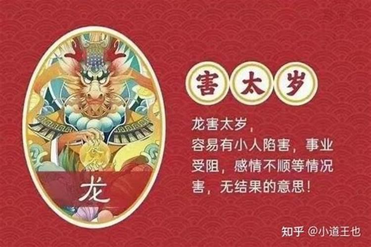 属龙犯太岁化解方法2021