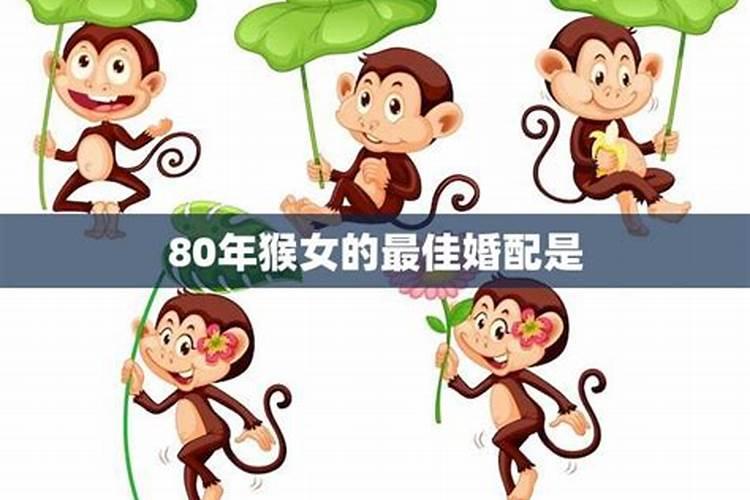 80年生肖猴2023年运势婚姻运