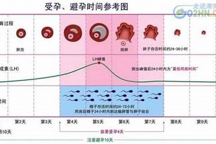 怎么计算怀孕多少天是从排卵算还是怎么算