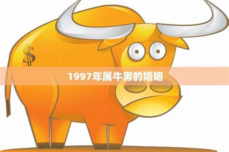 1997年属牛婚姻与命运