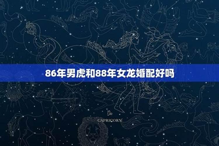 88年属龙和86年虎年结合