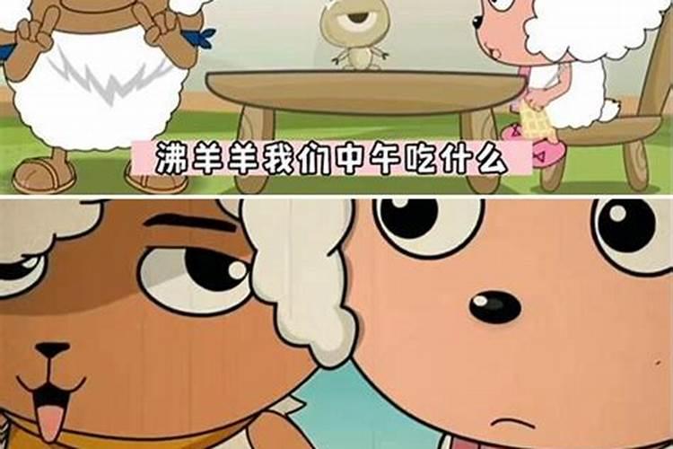 上高是什么生肖