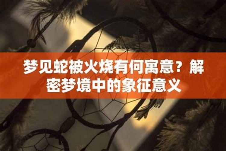 梦到放火烧蛇