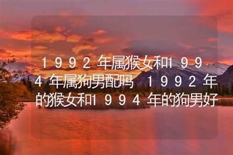 1994年男属狗和1992年女属猴婚姻