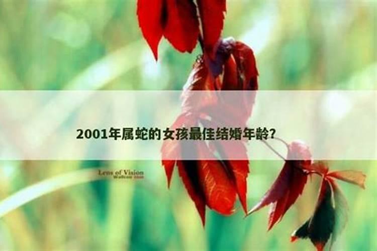 2001年属蛇的是多少岁