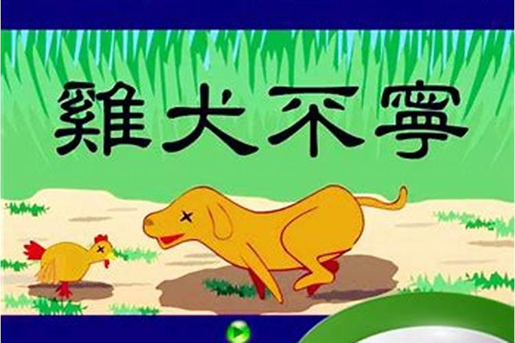 什么生肖闹得鸡犬不宁