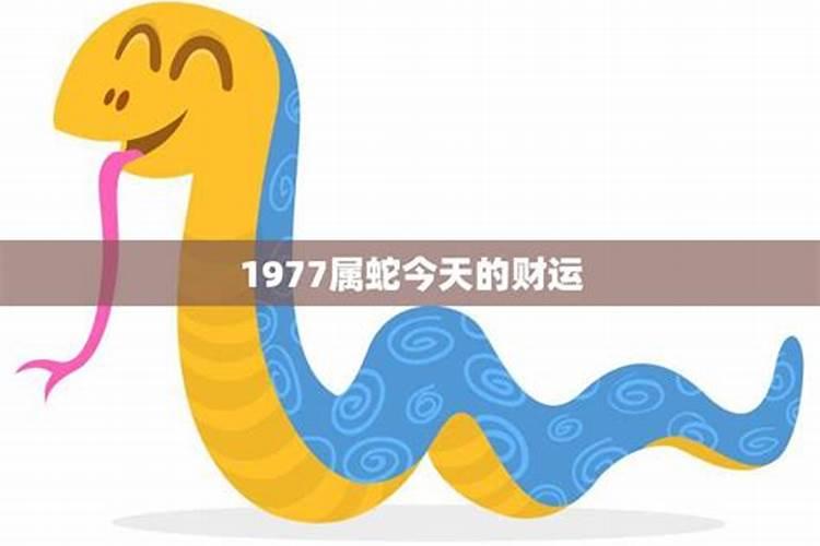 1977年属蛇人婚姻命运