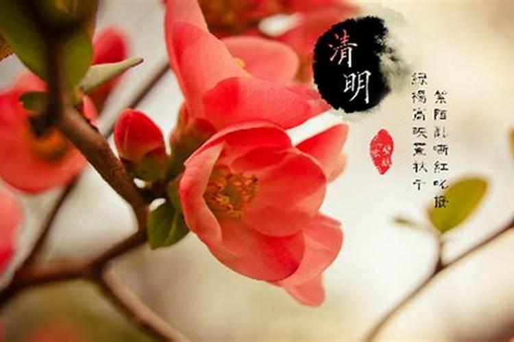 清明节那天是农历