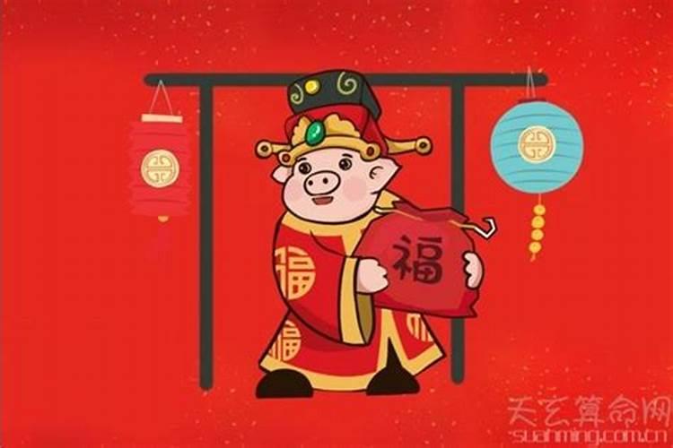 为什么说今年是金猪年