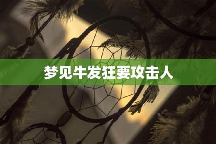 梦见牛发疯攻击人怎么回事啊