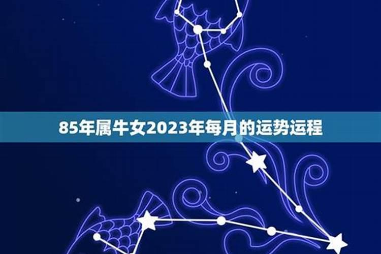 星座运势2023年每月运势