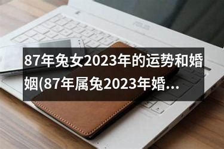 属兔女2023年婚姻状况