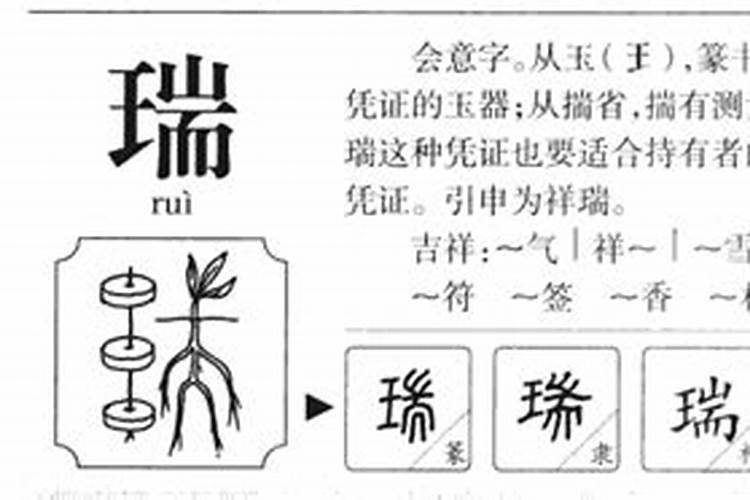 瑞字属于五行属什么意思