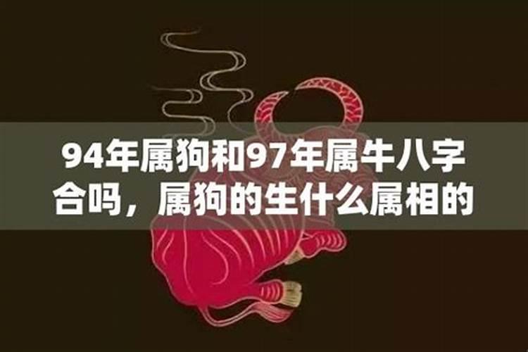 属狗的父母生属牛的孩子好吗