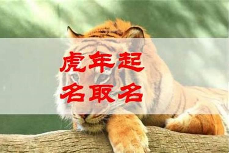 虎年出生男孩子威猛的名字