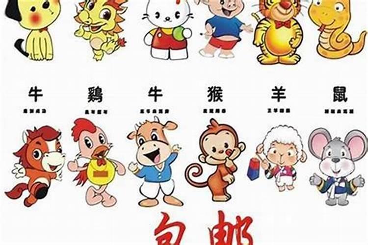 1996年属鼠的2025年运势