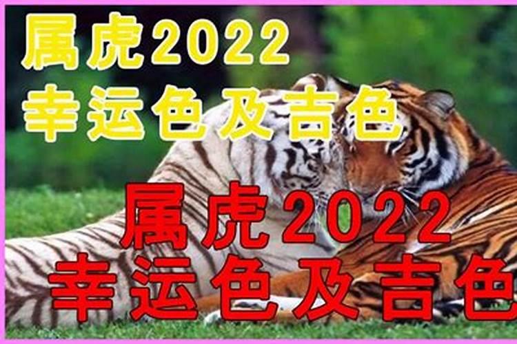 属虎人在2023年的幸运色