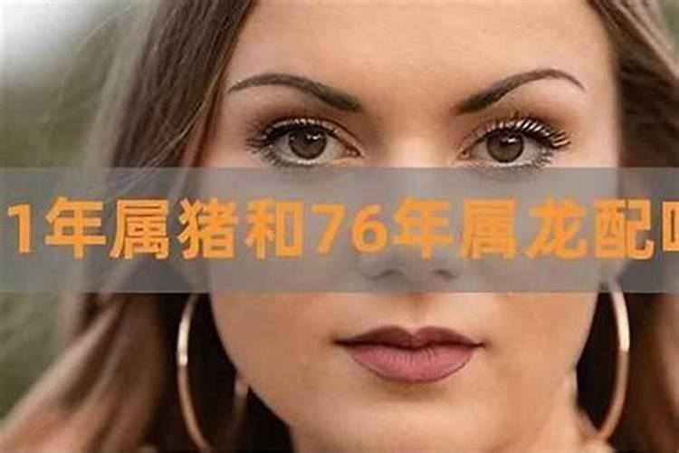 71年的猪和70年的狗婚姻怎么样